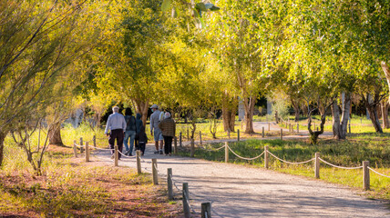 Familias y gente pasando por un camino en un bonito parque.