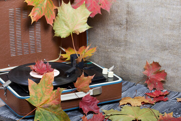 Old turntable. Scattered with autumn maple leaves. Retro party equipment.