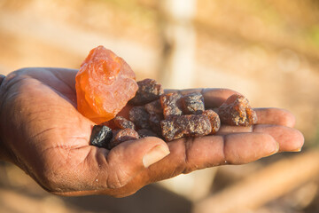 Smuggler showing smuggled precious and semi precious stones excavated in illegal mine, Mozambique