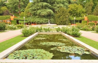 garden with pool in the park, pond, lake, woods, forest, lake in the  park, floating leaves
