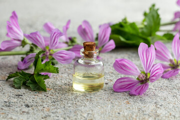 Obraz na płótnie Canvas A bottle of mallow essential oil with fresh malva sylvestris plant on a white background