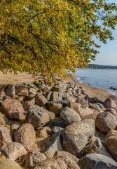 The coast of the Gulf of Finland.