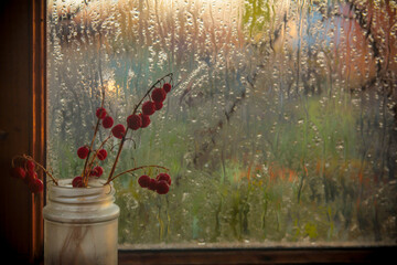 Bouquet with red berries by a fogged window