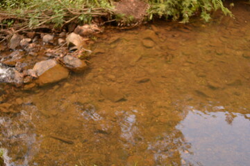 water, river, nature, stream, green, forest, rock, stone, tree, lake, pond, landscape, moss, summer, grass, brook, flow, autumn, mountain, flowing, reflection, natural, plant, spring, beautiful