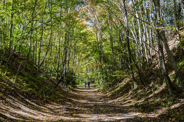The Virginia Creeper Trail, the most popular bike route in the region. Abingdon, VA, USA