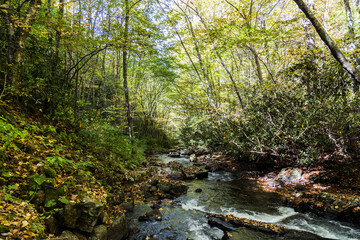Obraz premium River in the Virginia Creeper Trail, Abingdon, VA, USA