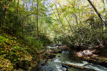 River in the Virginia Creeper Trail, Abingdon, VA, USA
