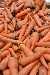 In the pile is a peeled carrot crop