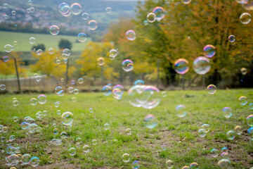 Image of soap bubbles on a sunny day on a green meadow. Background.