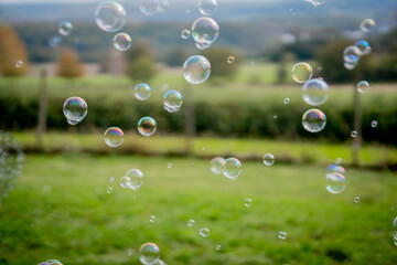 Image of soap bubbles on a sunny day on a green meadow. Background.