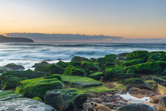 Green velvet mossy rocks at the seaside