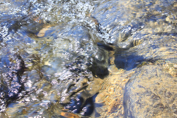 小川のせせらぎ