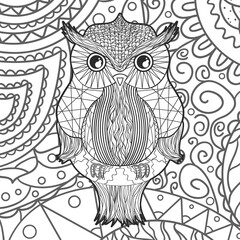 Square background with patterned owl. Hand drawn bird with abstract patterns. Line art