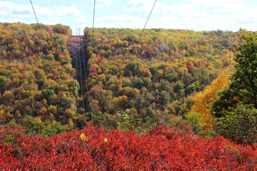 Pennsylvania power lines in the forest in autumn