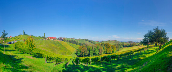 Vineyards along South Styrian Wine Road, a charming region on the border between Austria and Slovenia with green rolling hills, vineyards, picturesque villages and wine taverns. Selective focus