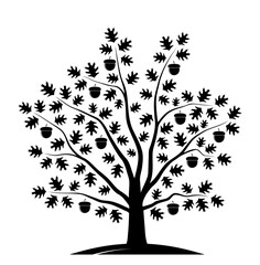 Obraz premium oak tree