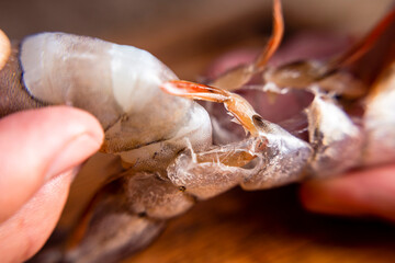 Hands Peeling Shrimp, close up.