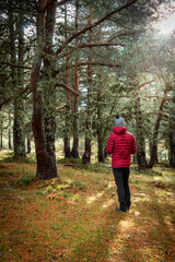 A man watches the forest around him as the sun's rays penetrate the branches on a cold autumn afternoon.