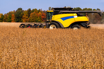 Obraz premium A farmer using a combine to harvest soy beans