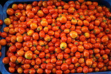 Fresh bunch Red tomatoes at vegetables market