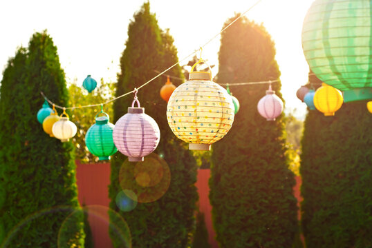 Paper lanterns hang on a string. Many lanterns on a background of green thuja.