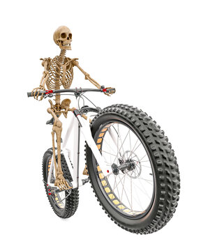 Skeleton Is Riding A Bike