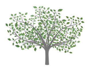 Tree with long branches and green leaves of different colors on a white background