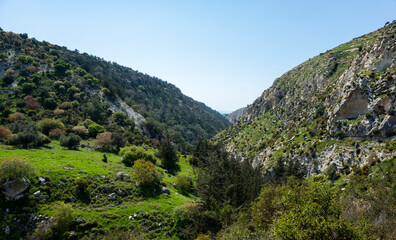 Water meadows and hills on the Mediterranean coast on the island of Cyprus.