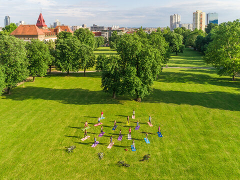 Aerial view of yoga group exercising in park.