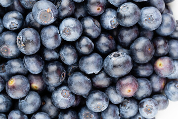 Fresh blueberry background. Texture blueberry berries close up.