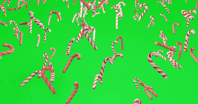 Christmas peppermint candy canes falling on green background. Seamless loop animation. Realistic red and white striped candy canes on chroma key.