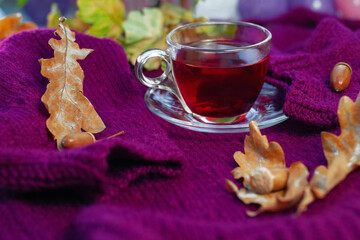 glass cup with tea on purple knitted background with autumn leaves