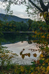 autumn in the park