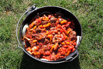 Gulasch kochen mit dem Dutch-Oven