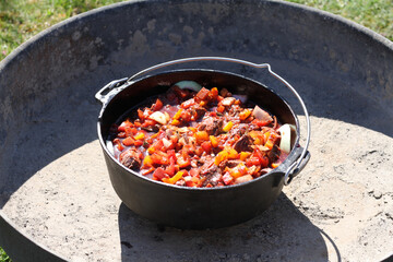 Gulasch kochen mit dem Dutch-Oven