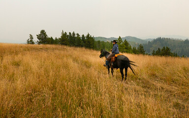 Fototapeta premium person riding a horse in the mountains