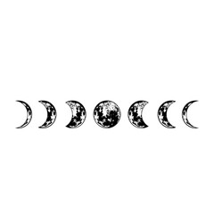 Lunar phases. Vector moon surface. Isolated cosmic silhouette. . Vector illustration