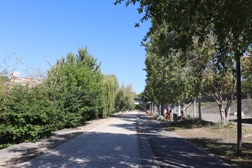 Fototapeta premium Le quai Victor Augagneur le long du fleuve Rhône à Lyon, rive aménagée en zone piétonne et cycliste sans voiture, ville de Lyon, département du Rhône, France