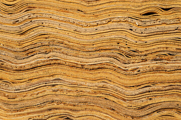 Texture of stacked wooden veneer for plywood and furniture production. Close-up.