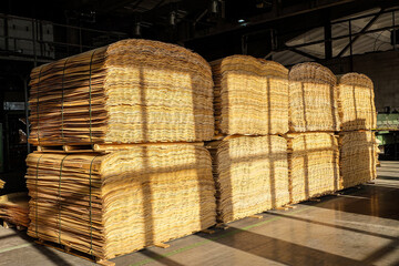 Wooden veneer for plywood and furniture production in industrial plant shop
