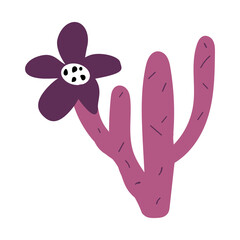 Pink cactus in the bloom, desert botanical poster, illustration, card, vector