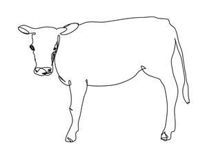 Abstract cow in one line style.