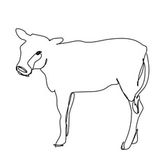 Abstract cow in one line style.