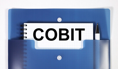 COBIT - White Paper on Blue, Information and Related Technology Benchmarks COBIT Concept