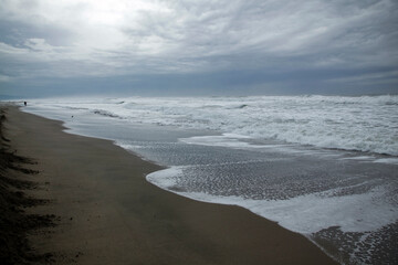 Lower,Great,Highway,Parkのビーチ