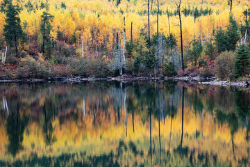 Fall Colour at the Green Lakes, Northern Ontario, Canada