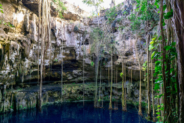 Fototapeta na wymiar Cenote San Lorenzo Oxman, Yucatan, Mexico