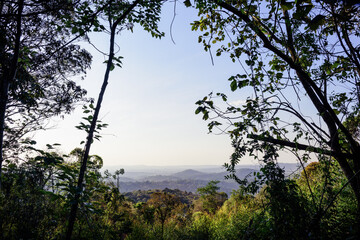 Paisagem natural intocada na região da Serra da Cantareira, Brasil