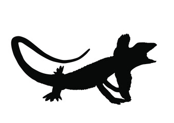 Frilled lizard vector silhouette illustration isolated on white background. Chlamydosaurus kingii symbol. Frill Dragon Neck.