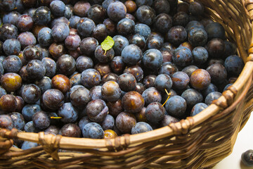 Juicy freshly picked blackthorn in a wicker basket. Concept of harvest autumn. 